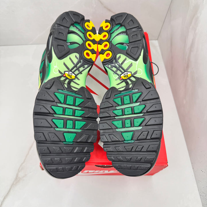 Nike Air Max Plus TN Vapor Green (Brand New) RRP £175