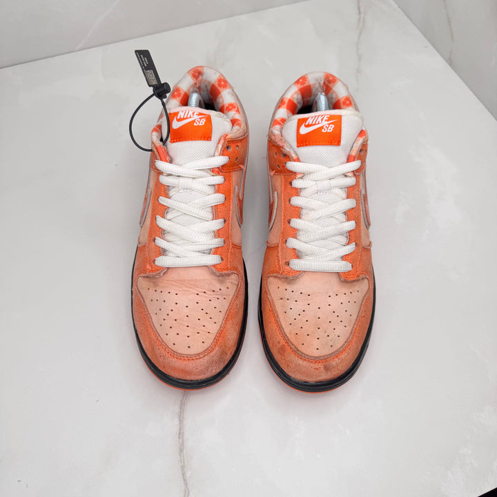 Nike SB Dunk Orange Lobster 8UK