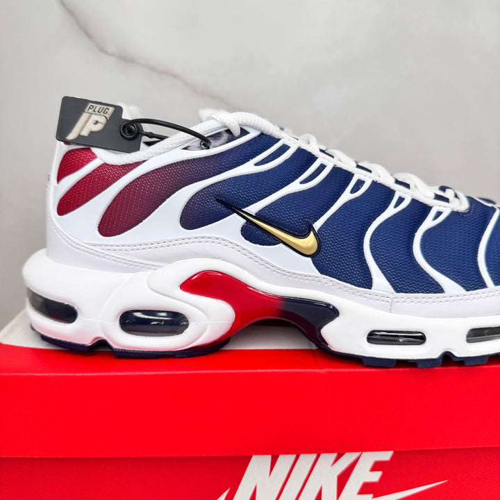 Nike Air Max Plus TN PSG (Brand New)