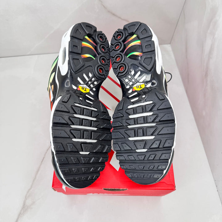 Nike Air Max Plus Viotech (Brand New)