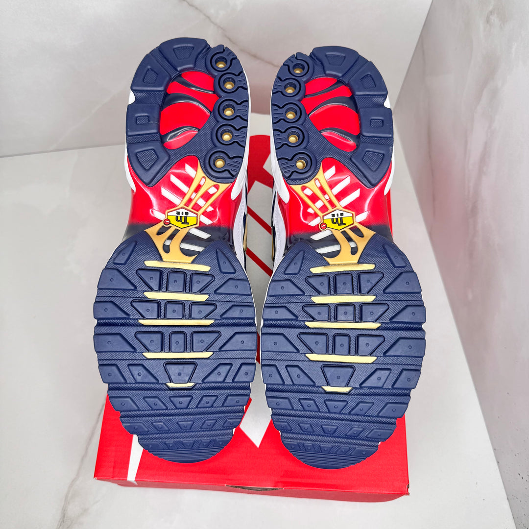 Nike Air Max Plus TN PSG (Brand New)